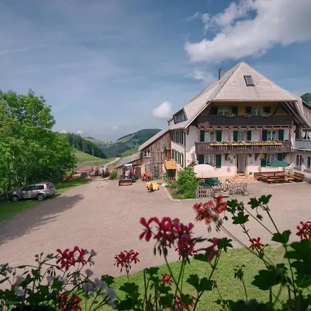 Mittlerer Itzenwaldhof - Heimkehr Apartmán Münstertal
