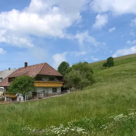 Mittlerer Itzenwaldhof - Heimkehr Münstertal