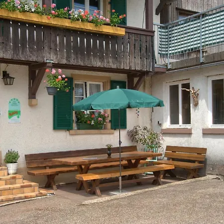 Mittlerer Itzenwaldhof - Heimkehr Appartement Münstertal