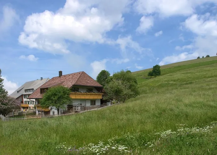 Heimkehr Münstertal